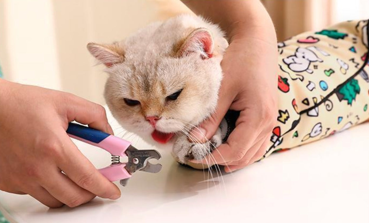 Wonderwrap - drei Größen im Set